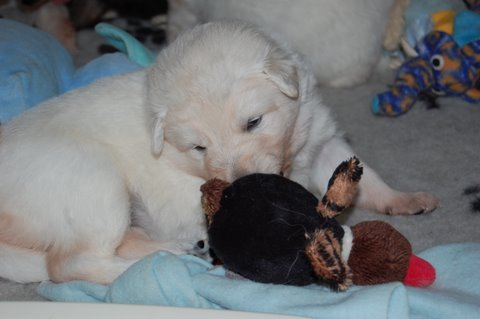 Fotos/NestWillow 2010/nest2010/week2/DSC_0021.JPG