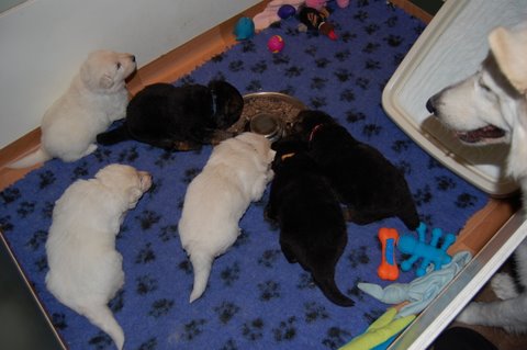 Fotos/NestWillow 2010/nest2010/week2/DSC_0035.JPG