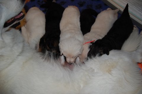 Fotos/NestWillow 2010/nest2010/week2/DSC_0079.JPG