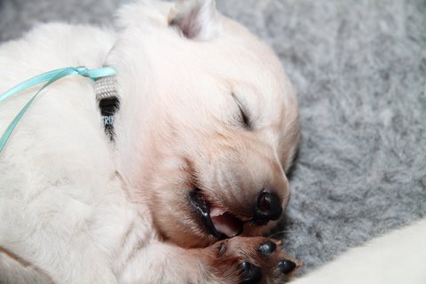 Fotos/NestWillow 2010/nest2010/week2/IMG_801101.JPG