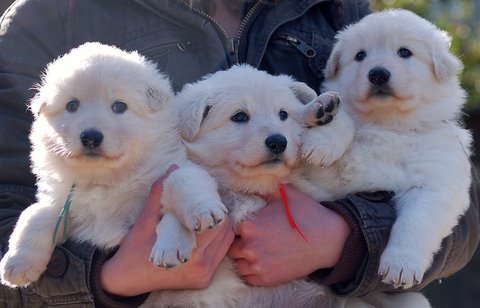 Fotos/NestWillow 2010/nest2010/week3/Anouk van der Zee (29).JPG