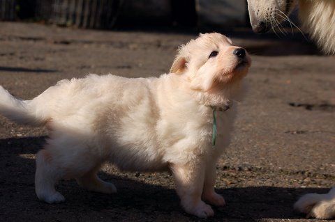 Fotos/NestWillow 2010/nest2010/week3/Anouk van der Zee (32).JPG