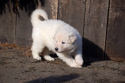 Fotos/NestWillow 2010/nest2010/week3/Anouk van der Zee (35).JPG