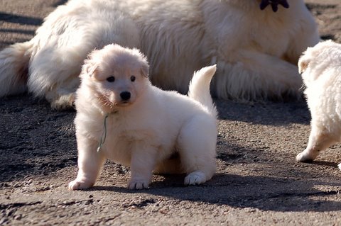 Fotos/NestWillow 2010/nest2010/week3/Anouk van der Zee (40).JPG