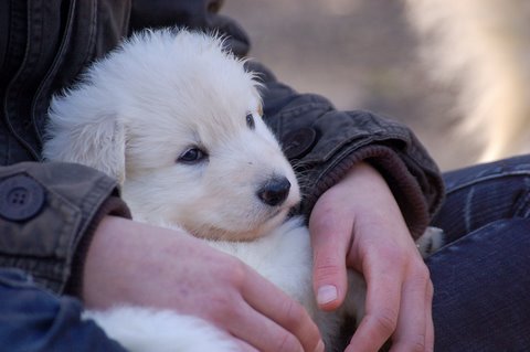 Fotos/NestWillow 2010/nest2010/week3/Anouk van der Zee (54).JPG