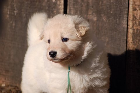 Fotos/NestWillow 2010/nest2010/week3/Anouk van der Zee.JPG