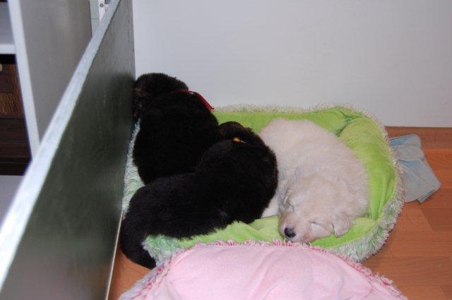 Fotos/NestWillow 2010/nest2010/week3/DSC_0015.JPG