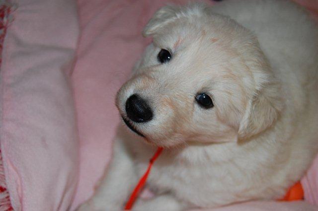 Fotos/NestWillow 2010/nest2010/week3/DSC_0017.JPG