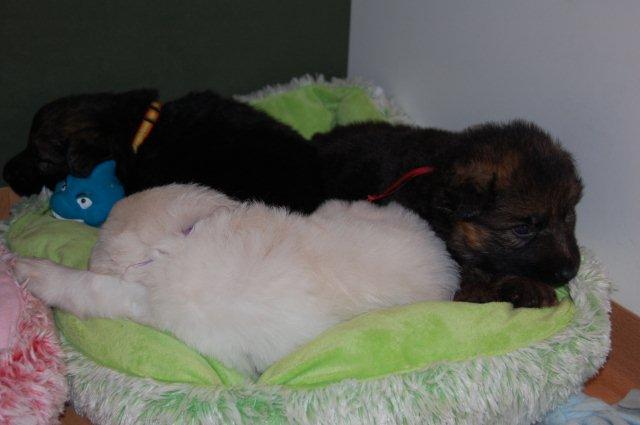 Fotos/NestWillow 2010/nest2010/week3/DSC_0021.JPG