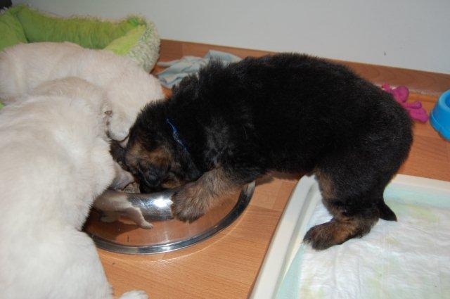 Fotos/NestWillow 2010/nest2010/week3/DSC_0024.JPG