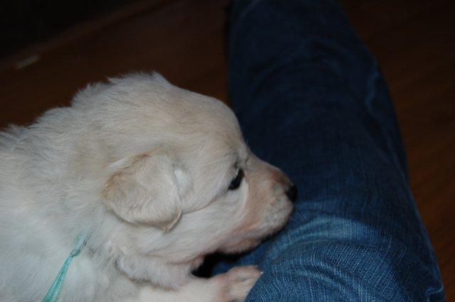 Fotos/NestWillow 2010/nest2010/week3/DSC_0085.JPG