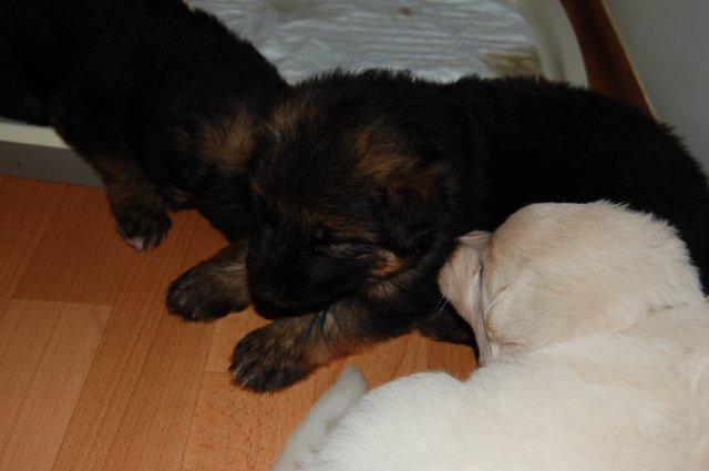 Fotos/NestWillow 2010/nest2010/week3/DSC_0091.JPG