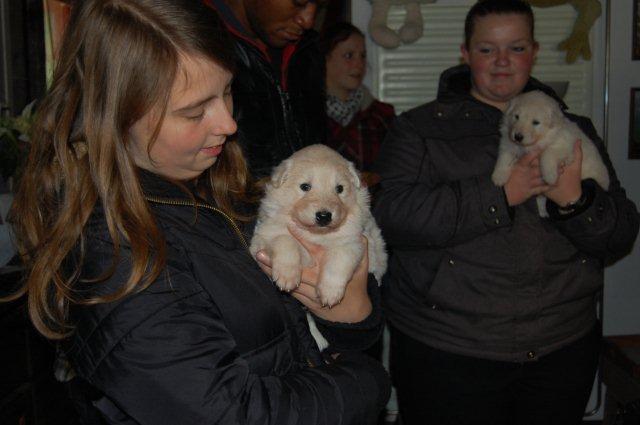 Fotos/NestWillow 2010/nest2010/week3/DSC_0336.JPG