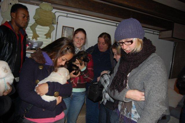 Fotos/NestWillow 2010/nest2010/week3/DSC_0340.JPG