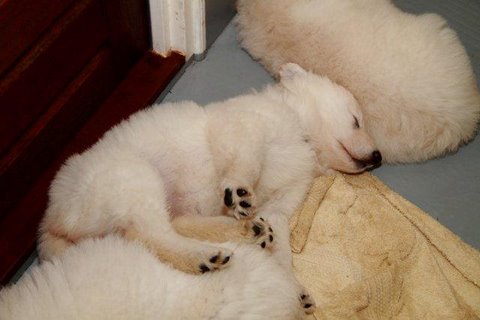 Fotos/NestWillow 2010/nest2010/week4/10.jpg