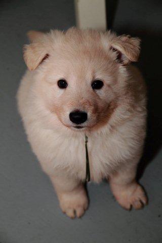 Fotos/NestWillow 2010/nest2010/week4/13.jpg