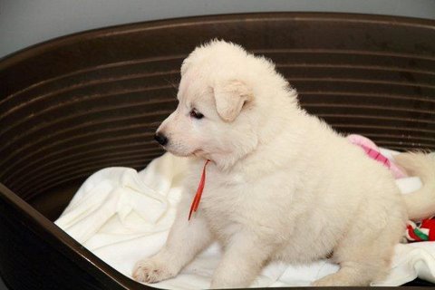 Fotos/NestWillow 2010/nest2010/week4/14.jpg