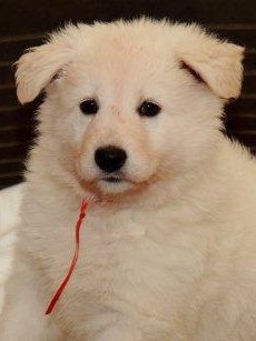 Fotos/NestWillow 2010/nest2010/week4/15.jpg