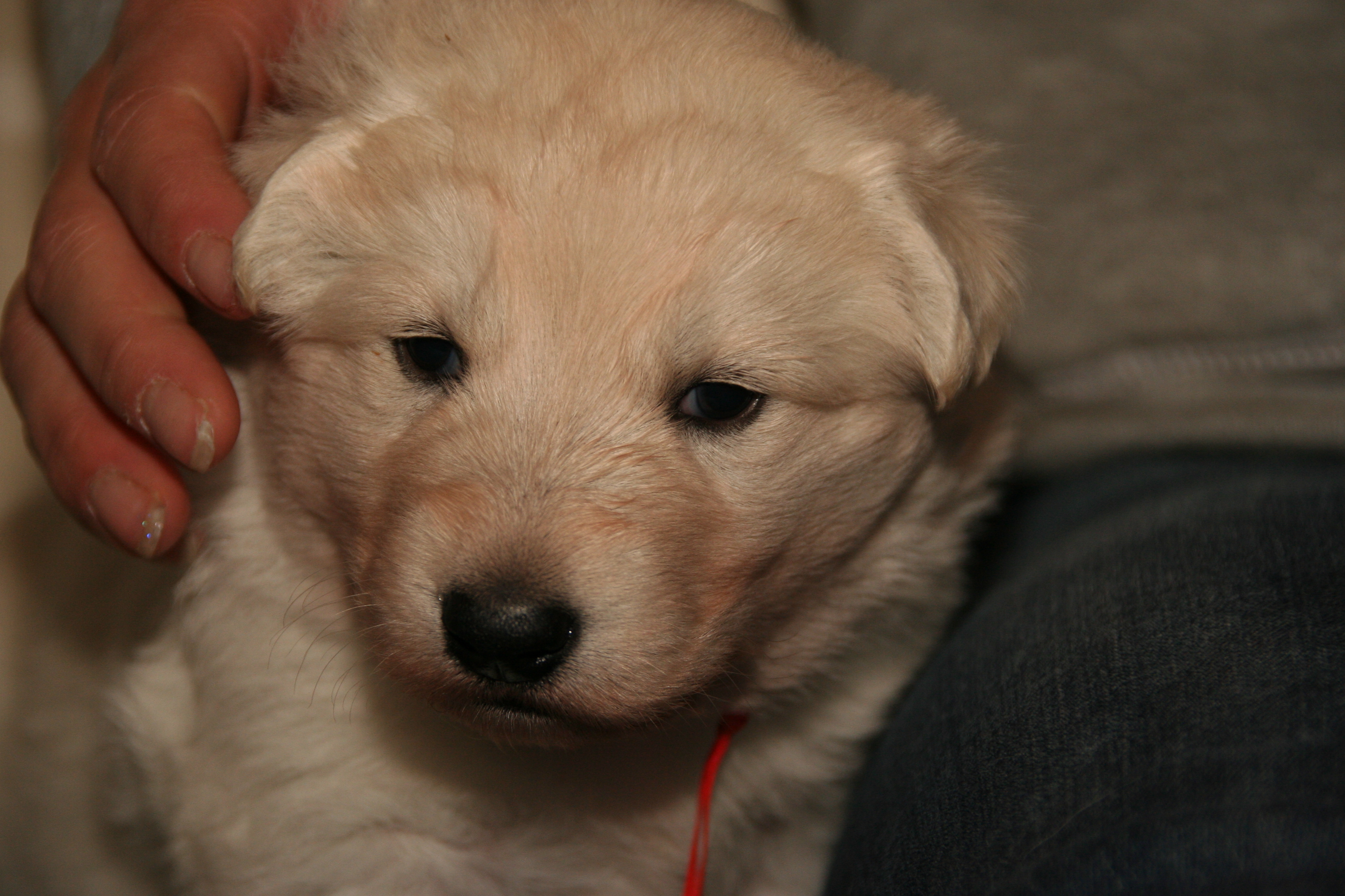 Fotos/NestWillow 2010/nest2010/week4/4.JPG