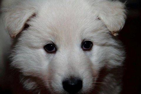 Fotos/NestWillow 2010/nest2010/week5/12.jpg