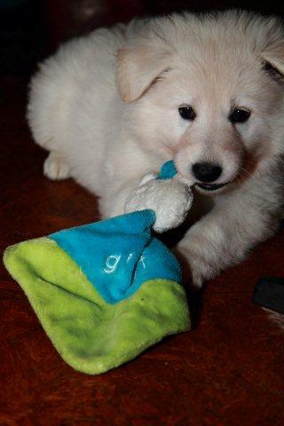 Fotos/NestWillow 2010/nest2010/week5/14.jpg