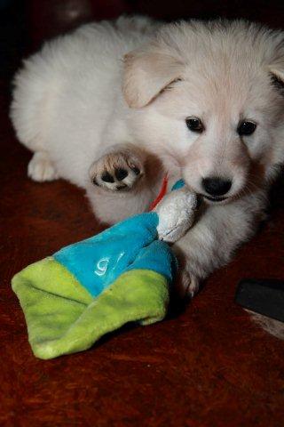 Fotos/NestWillow 2010/nest2010/week5/15.jpg