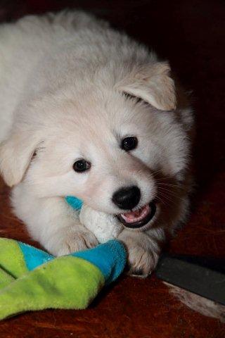 Fotos/NestWillow 2010/nest2010/week5/16.jpg