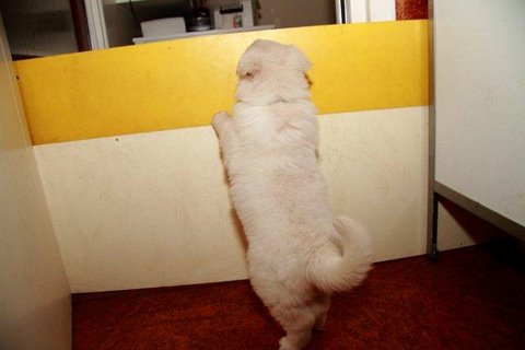 Fotos/NestWillow 2010/nest2010/week5/9.jpg