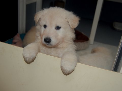 Fotos/NestWillow 2010/nest2010/week5/DSC_0534.JPG