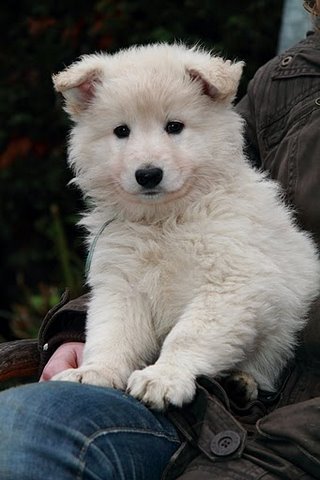 Fotos/NestWillow 2010/nest2010/week6/11.JPG