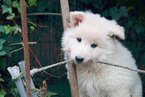 Fotos/NestWillow 2010/nest2010/week6/17.JPG