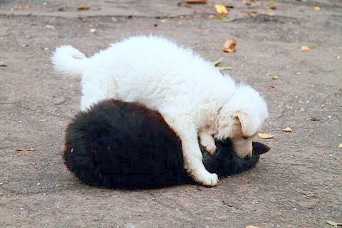 Fotos/NestWillow 2010/nest2010/week6/18.JPG