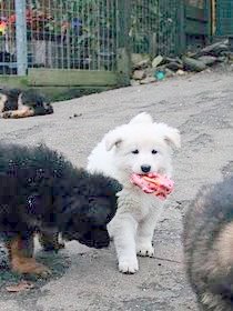 Fotos/NestWillow 2010/nest2010/week6/20.JPG