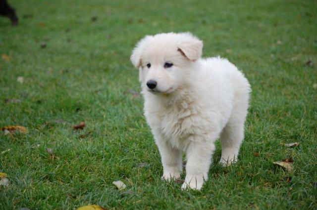 Fotos/NestWillow 2010/nest2010/week6/DSC_0807.jpg