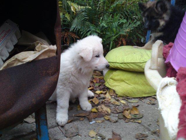 Fotos/NestWillow 2010/nest2010/week7/-_DSC02273.JPG