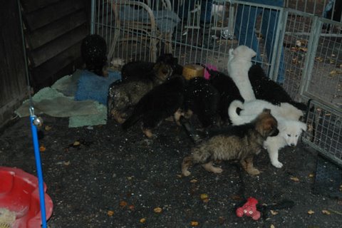 Fotos/NestWillow 2010/nest2010/week7/DSC_1994.JPG