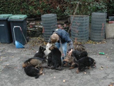 Fotos/NestWillow 2010/nest2010/week7/DSC_1997.JPG