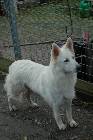 Fotos/NestWillow 2010/nest2010/week7/DSC_2057.JPG