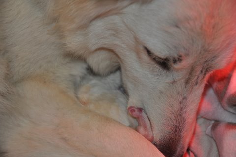 Fotos/2011 L-Nest/DSC_0202.JPG
