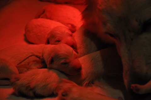 Fotos/2011 L-Nest/DSC_0215.JPG