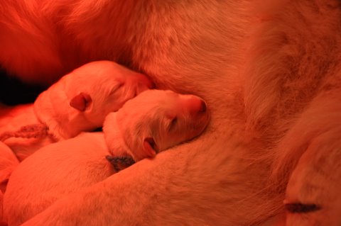 Fotos/2011 L-Nest/DSC_0220.JPG