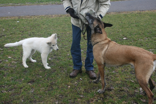 Fotos/2011 L-Nest/vervolg/Mikey/02.jpg