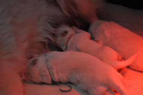 Fotos/2011 L-Nest/week1/DSC_0295.JPG