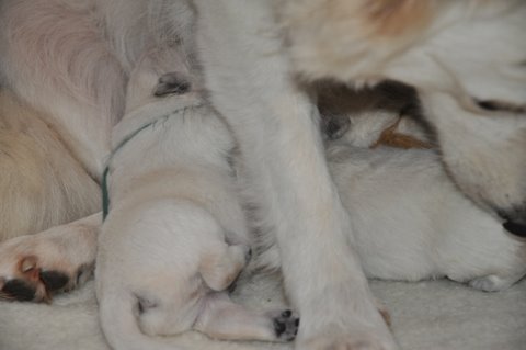 Fotos/2011 L-Nest/week1/DSC_0309.JPG