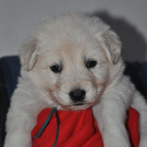 Fotos/2011 L-Nest/week4/turkoois.jpg
