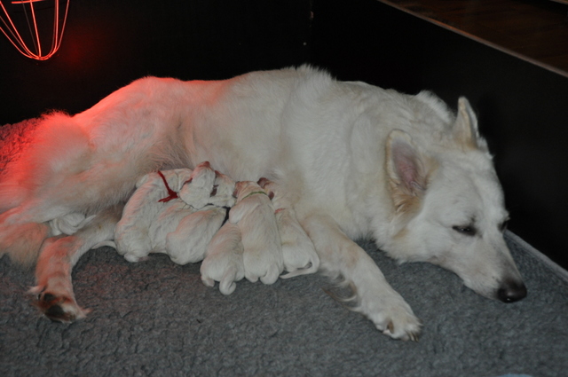 Fotos/Willow 2013/geboorte/DSC_0205.JPG