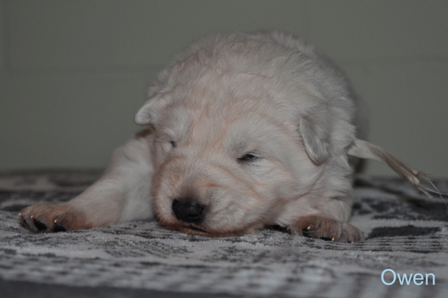 Fotos/Willow 2013/week 2/Owen2.jpg