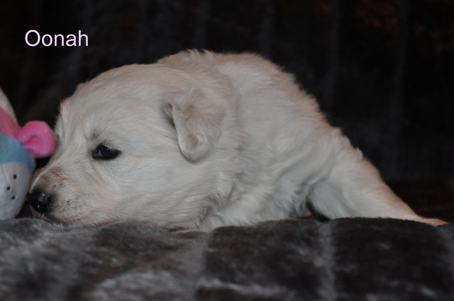 Fotos/Willow 2013/week 3/Oonah3.jpg