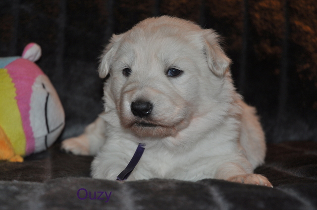 Fotos/Willow 2013/week 3/Ouzy3.jpg