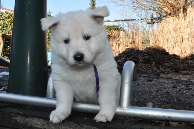 Fotos/Willow 2013/week 5/Ouzy5.jpg